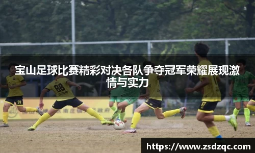 宝山足球比赛精彩对决各队争夺冠军荣耀展现激情与实力