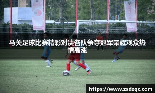 马关足球比赛精彩对决各队争夺冠军荣耀观众热情高涨